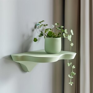 3D Printed Flowing Organic Wall Shelf