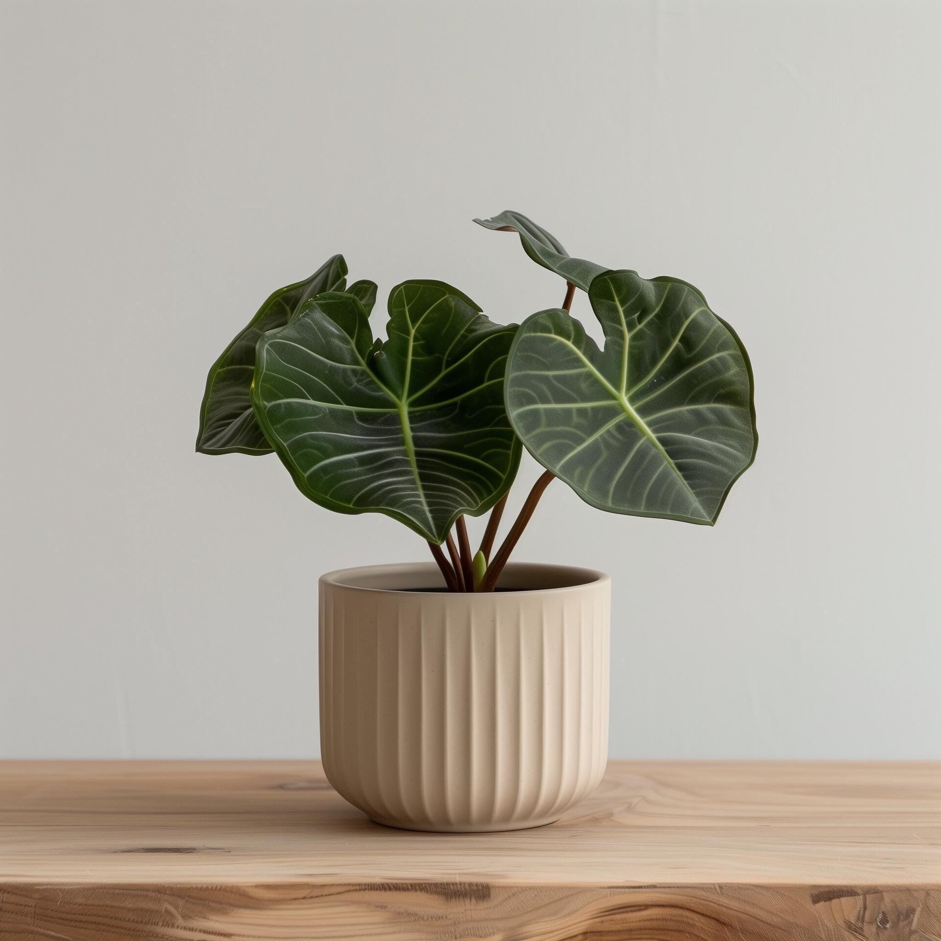 3D Printed Ribbed Indoor Planter