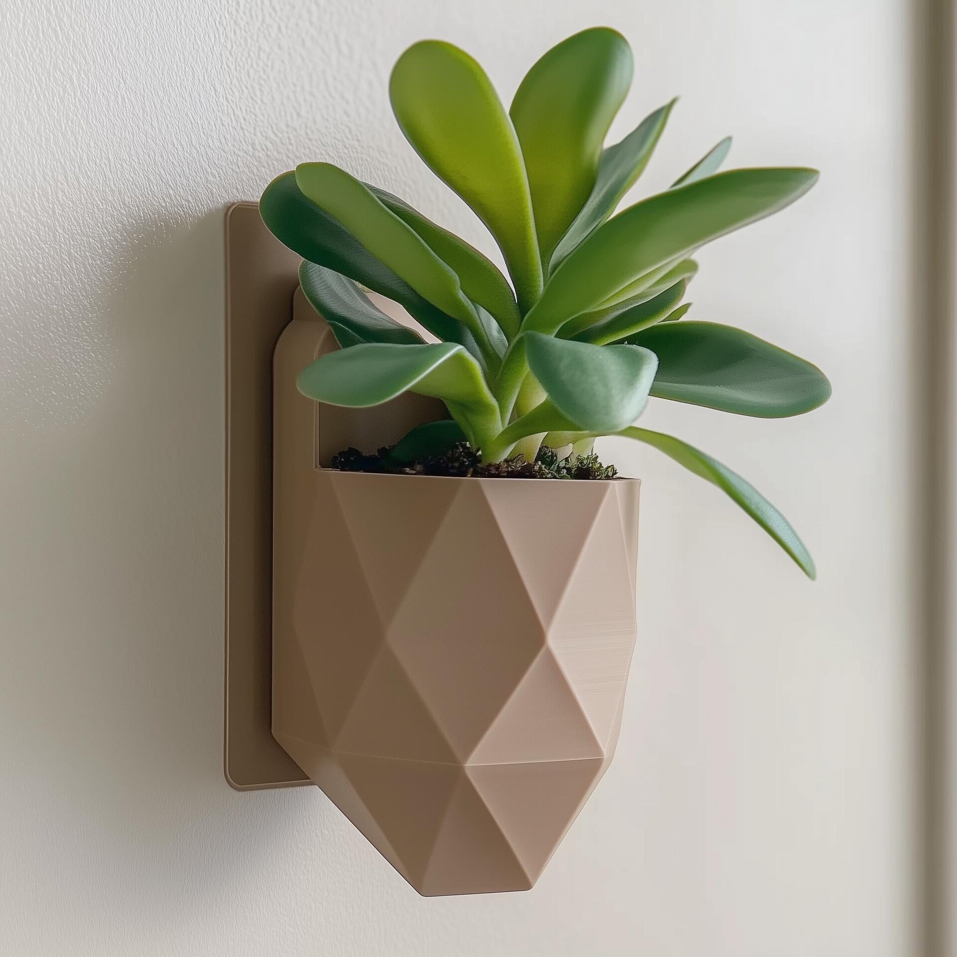 3D Printed Geometric Wall Planter