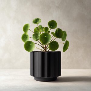 3D Printed Ribbed Black Planter