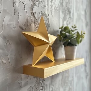 3D Printed Star Wall Shelf